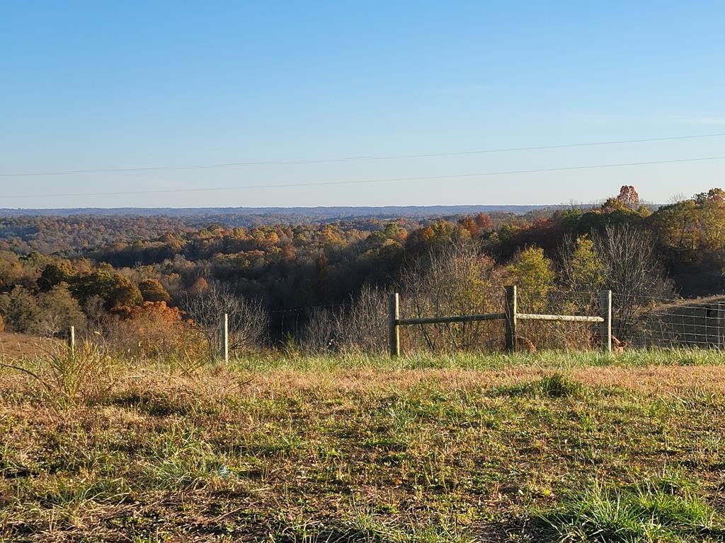 81 acres in Robertson County, Kentucky