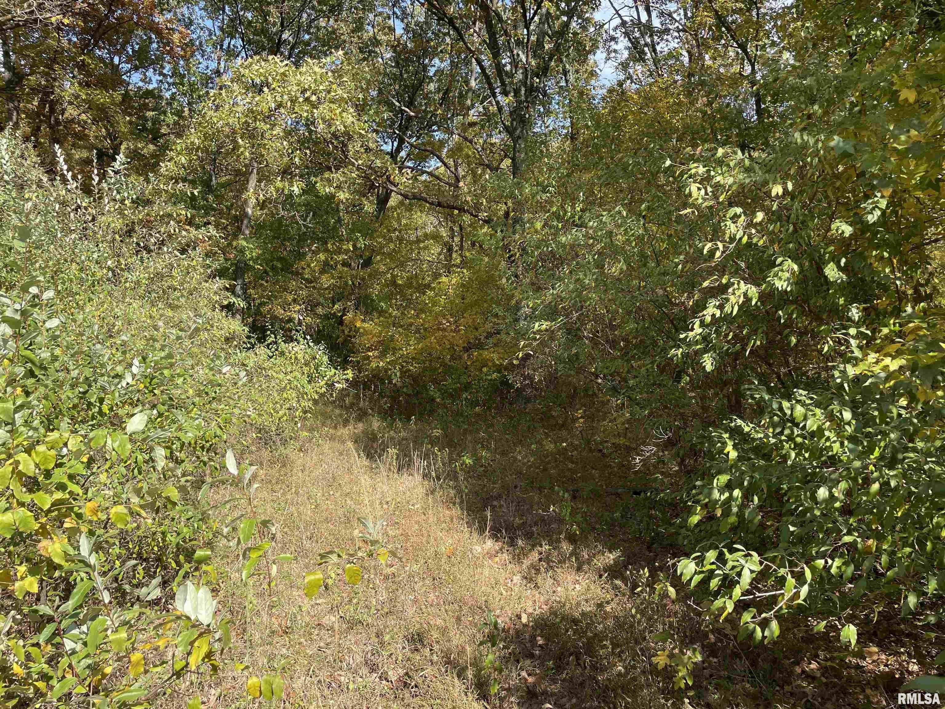 7.43 acres in Williamson County, Illinois