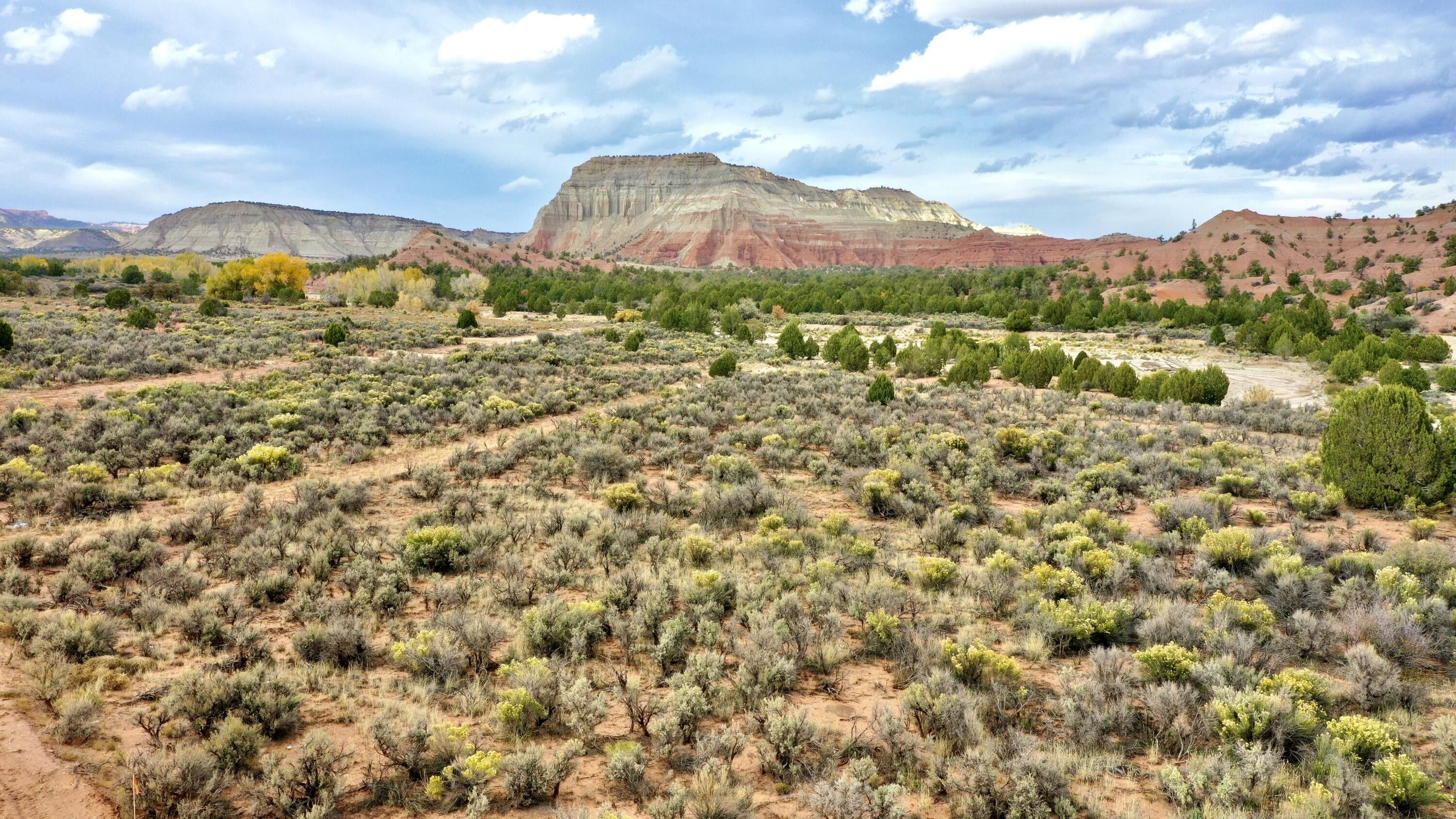 1.32 acres in Garfield County, Utah