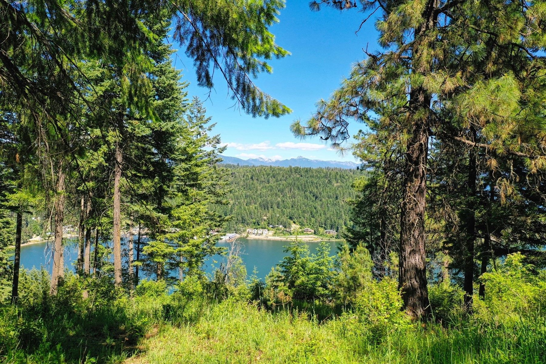 5 acres in Bonner County, Idaho