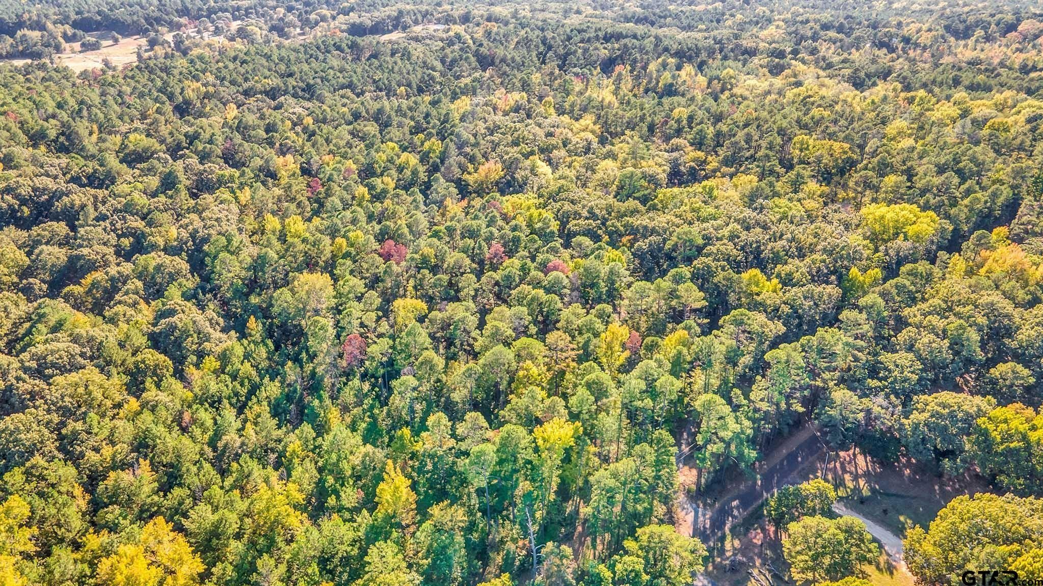 20 acres in Wood County, Texas