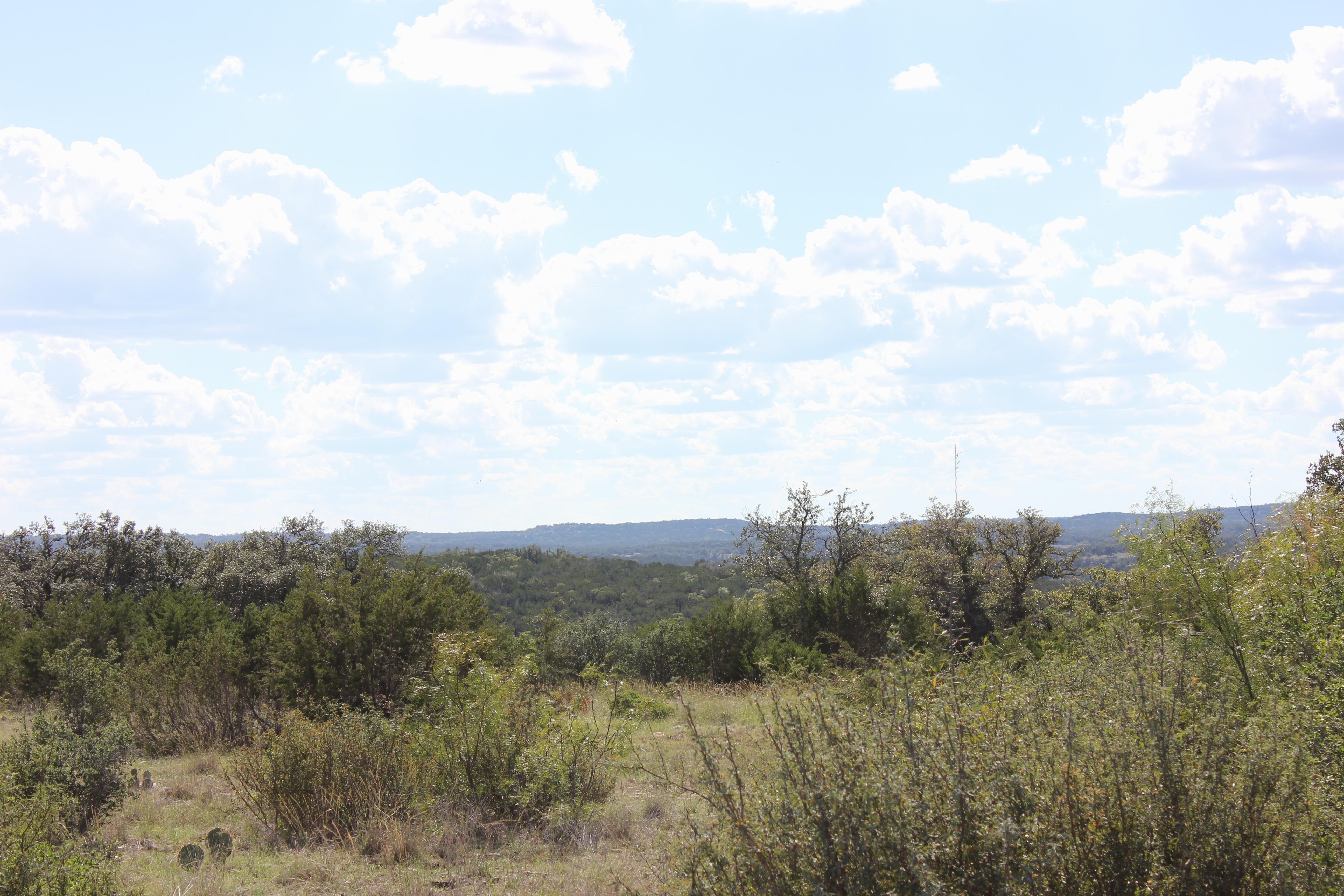 FM 2169, Junction, TX 76849 MLS 67790