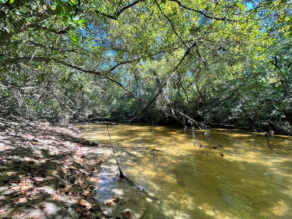 4 acres in Stone County, Mississippi