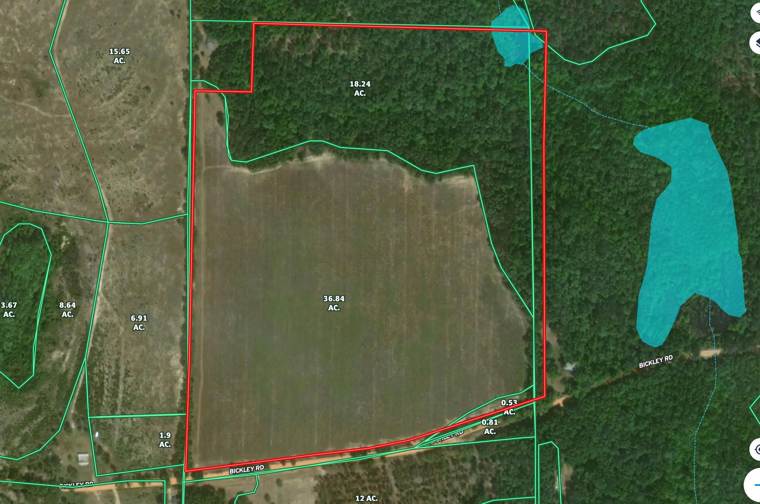 54 acres in Taylor County,