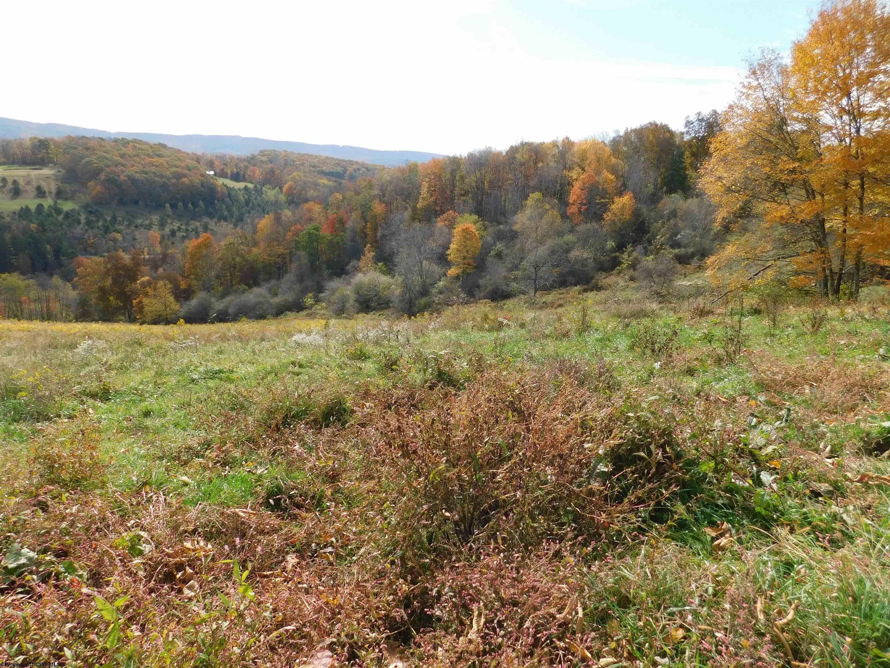 15 acres in Preston County, West Virginia