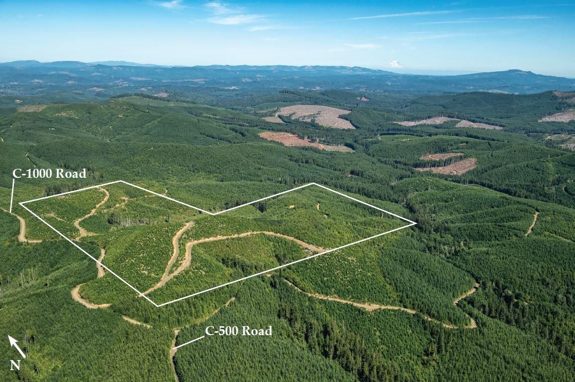 159 acres in Pacific County, Washington