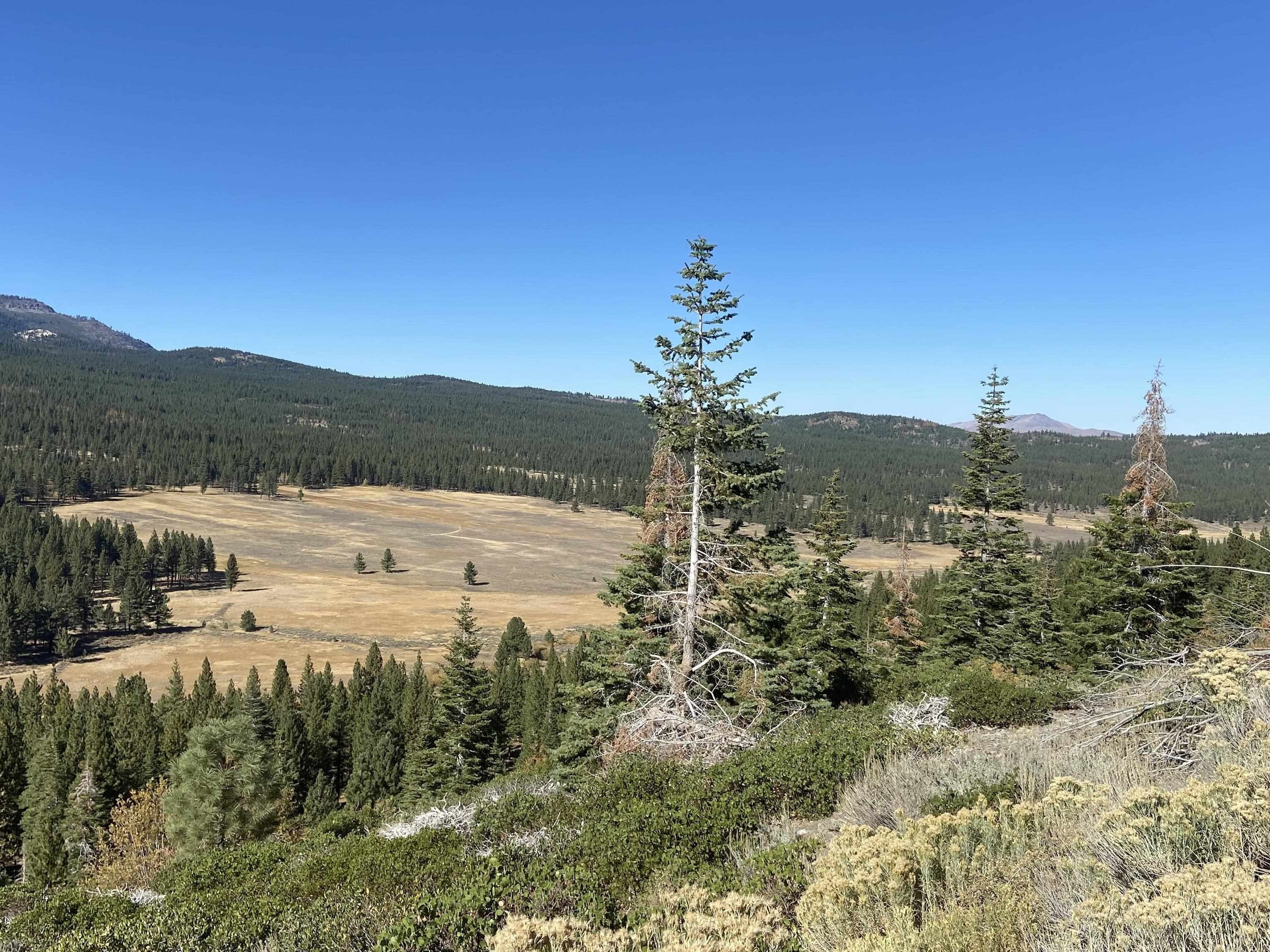 40 acres in Sierra County, California