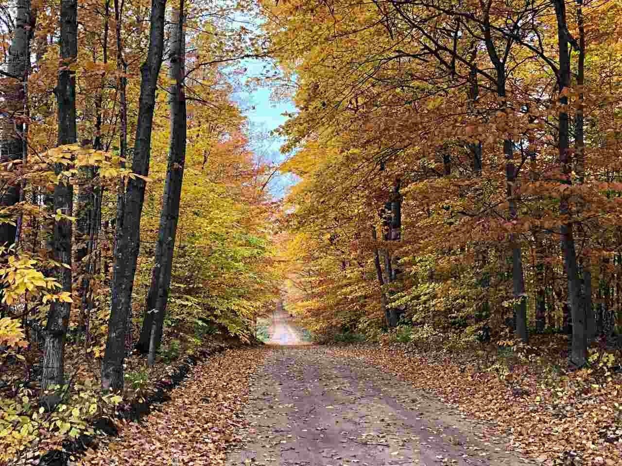 10 acres in Emmet County, Michigan