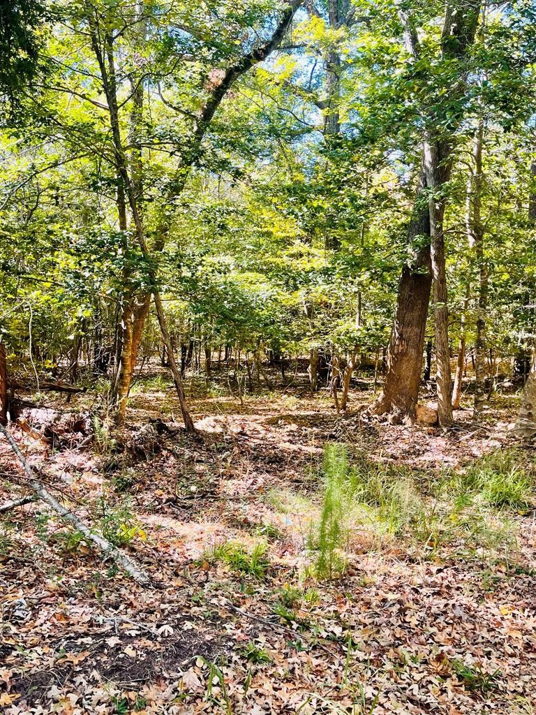 2.92 acres in Nacogdoches County, Texas