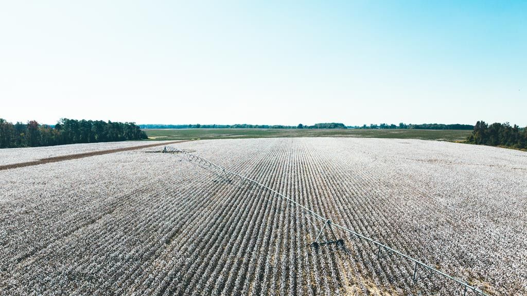 103 acres in Dooly County,