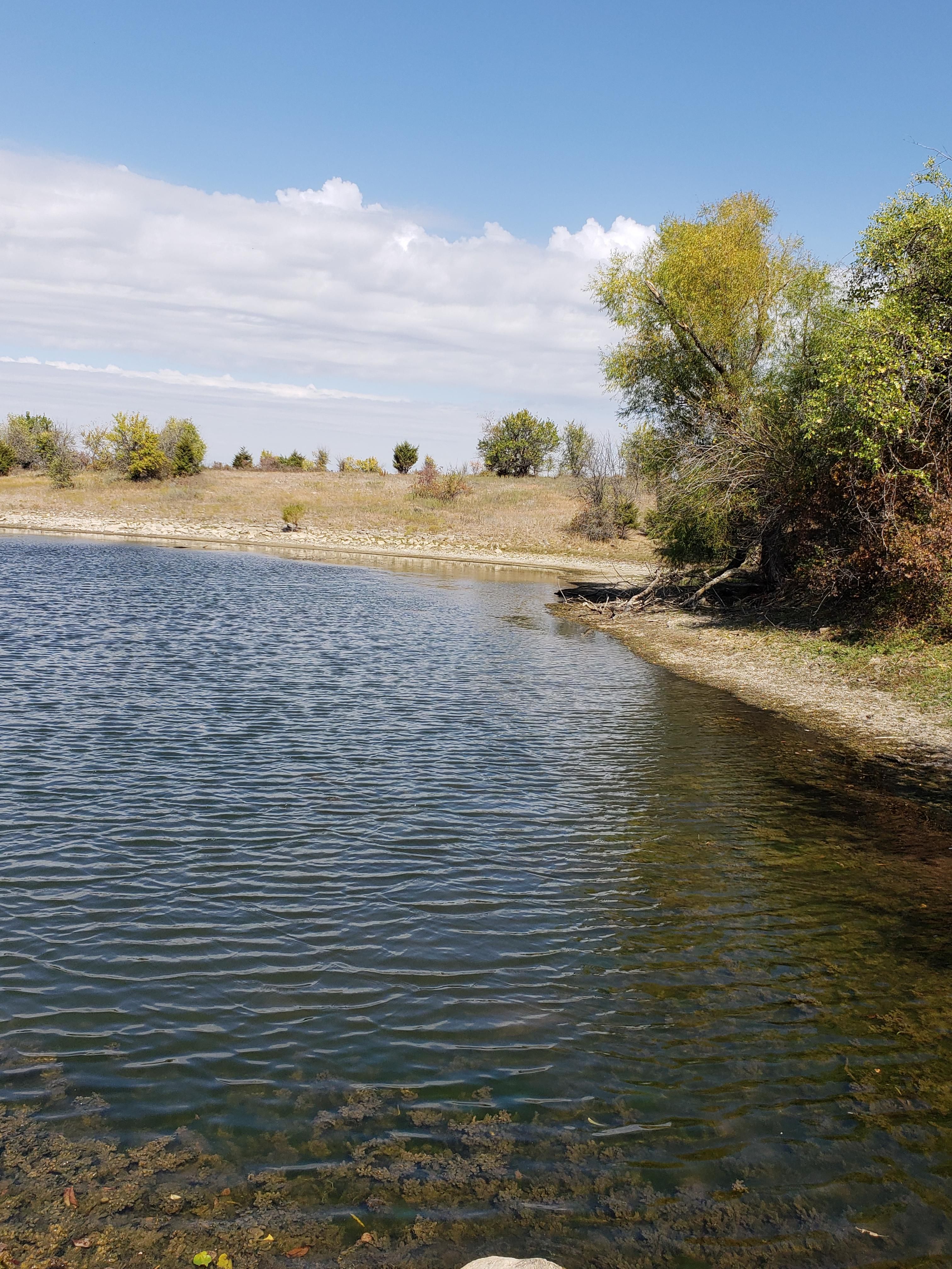 244 acres in Allen County, Kansas