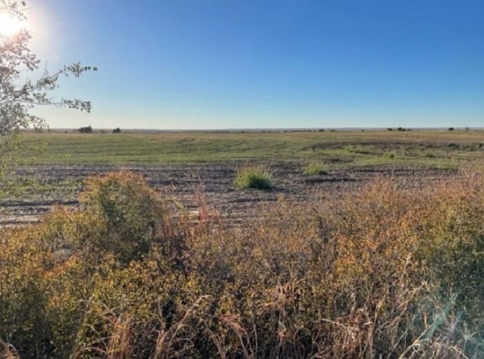 478 acres in Ellis County, Oklahoma