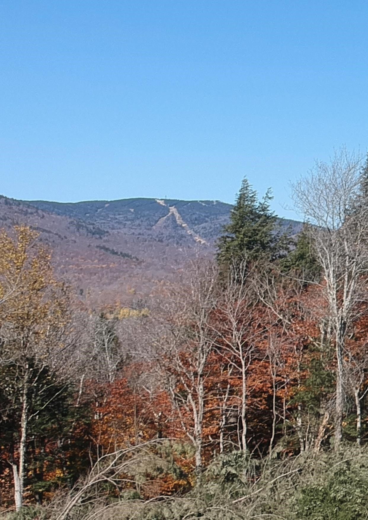 9.73 acres in Windham County, Vermont