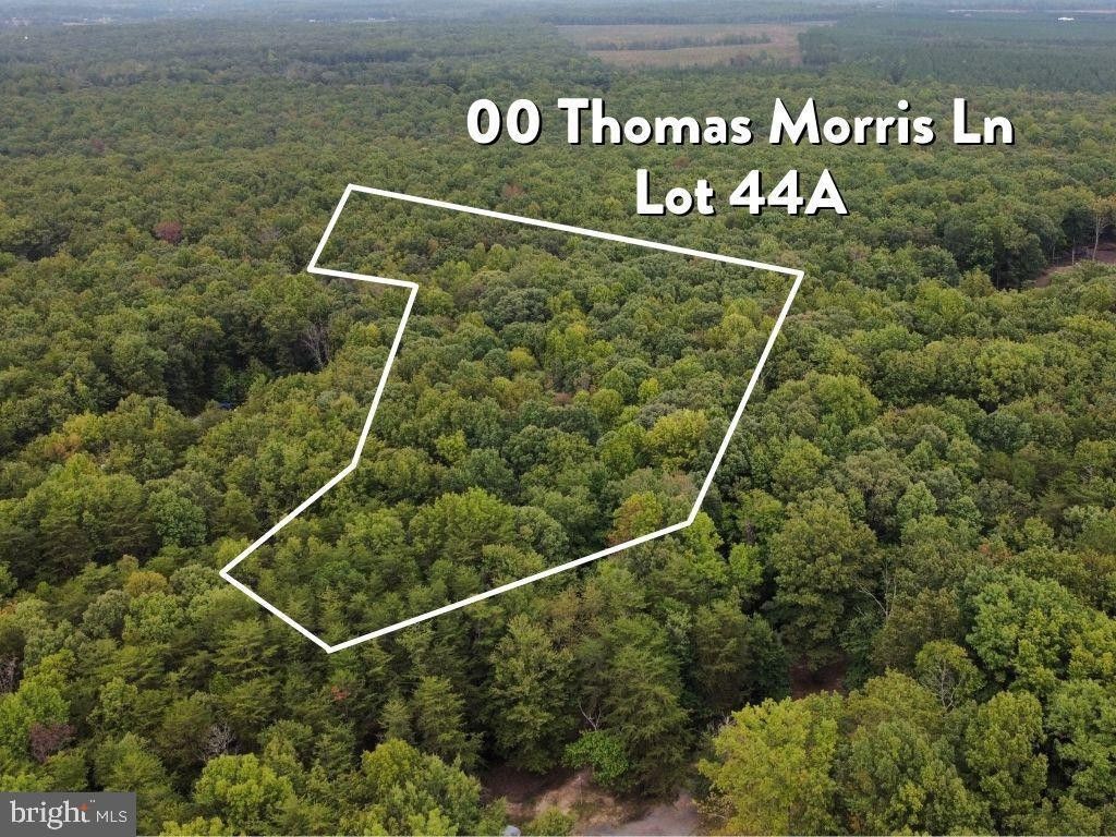 4.62 acres in Louisa County, Virginia