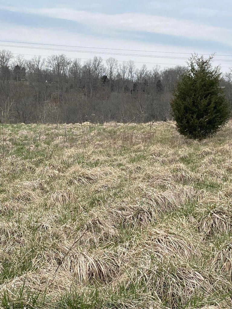 35.25 acres in Grant County, Kentucky
