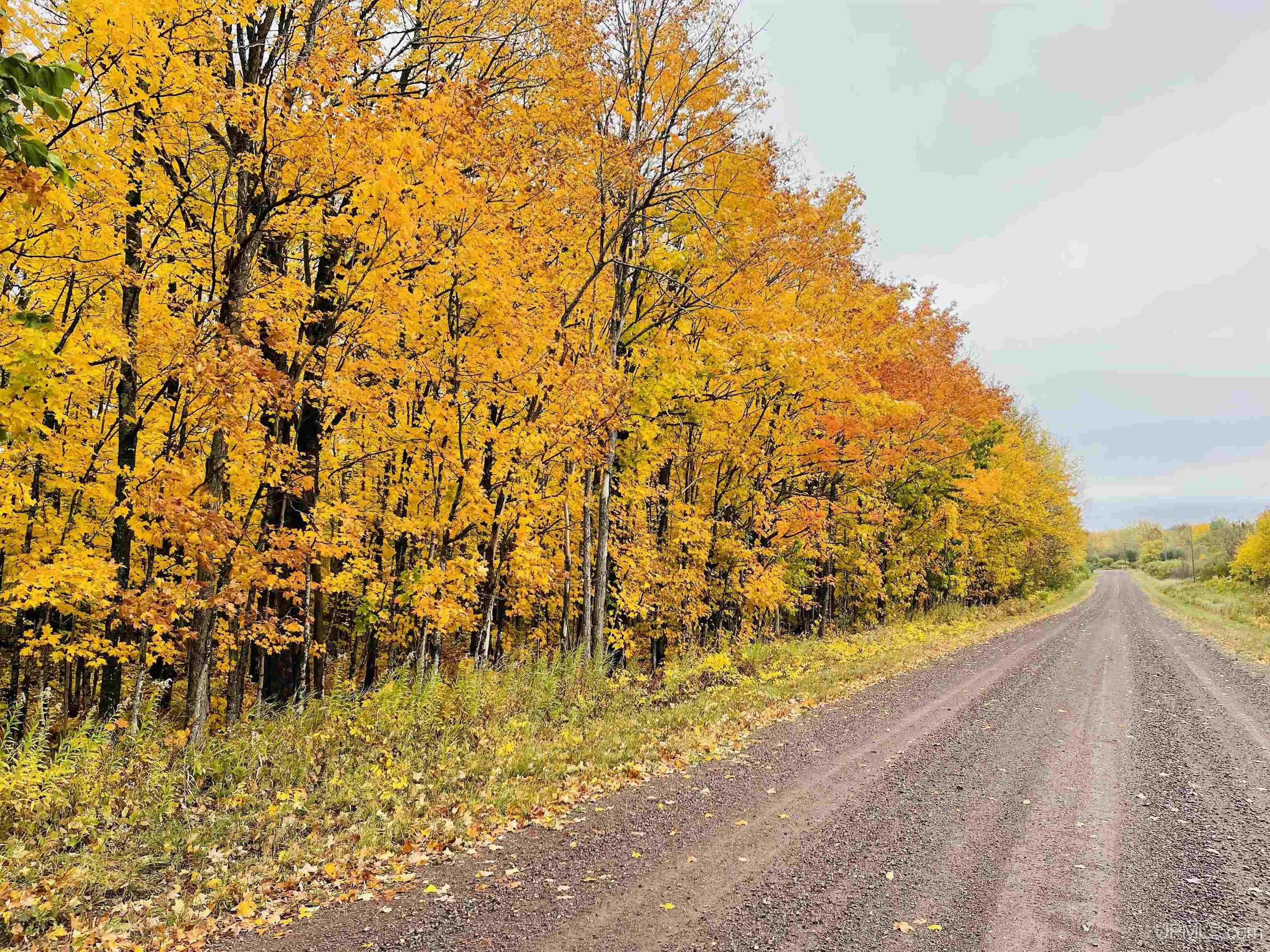 10 acres in Gogebic County, Michigan