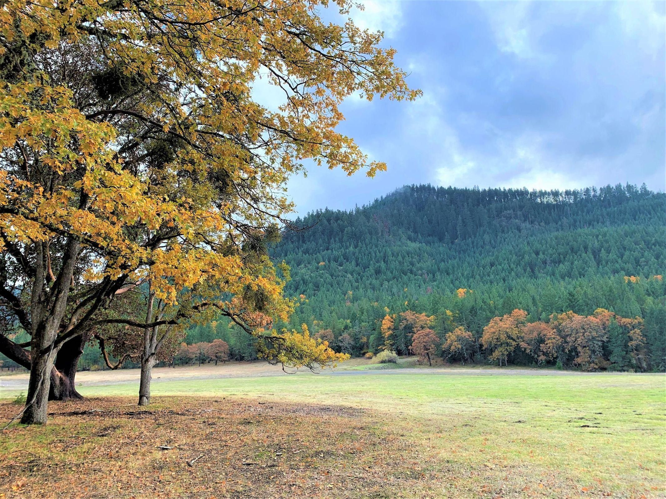 20 acres in Jackson County, Oregon