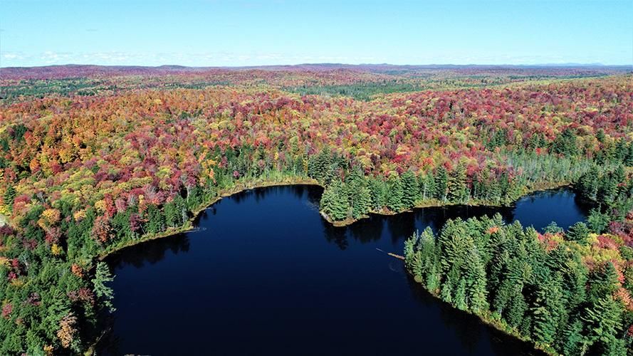 7,211 acres in Saint Lawrence County, New York