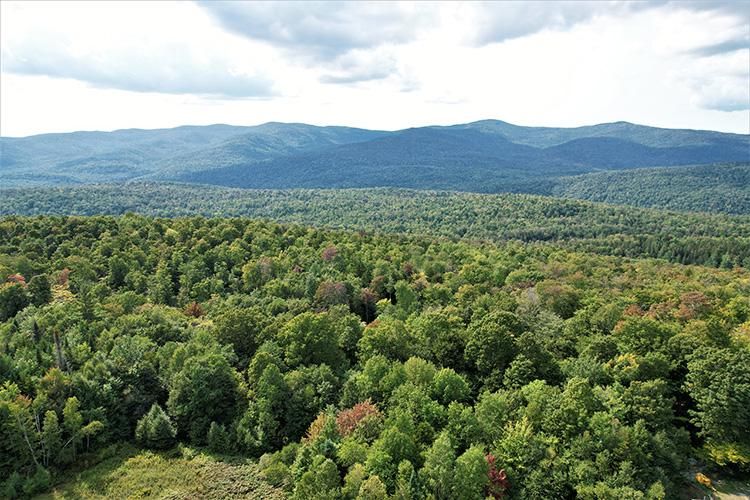 00 Braintree Hill Road, Roxbury, VT 05669 MLS 4934961