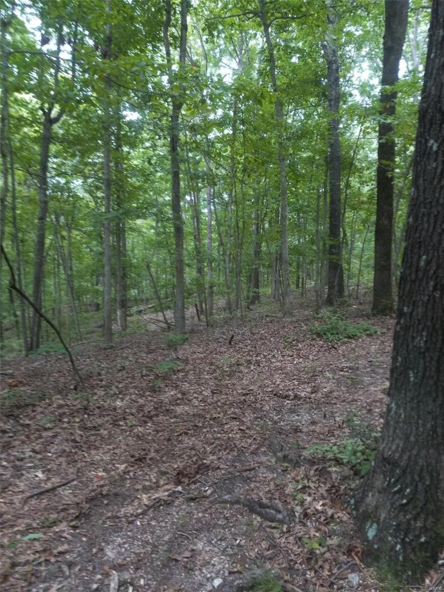 38 acres in Wayne County, Missouri
