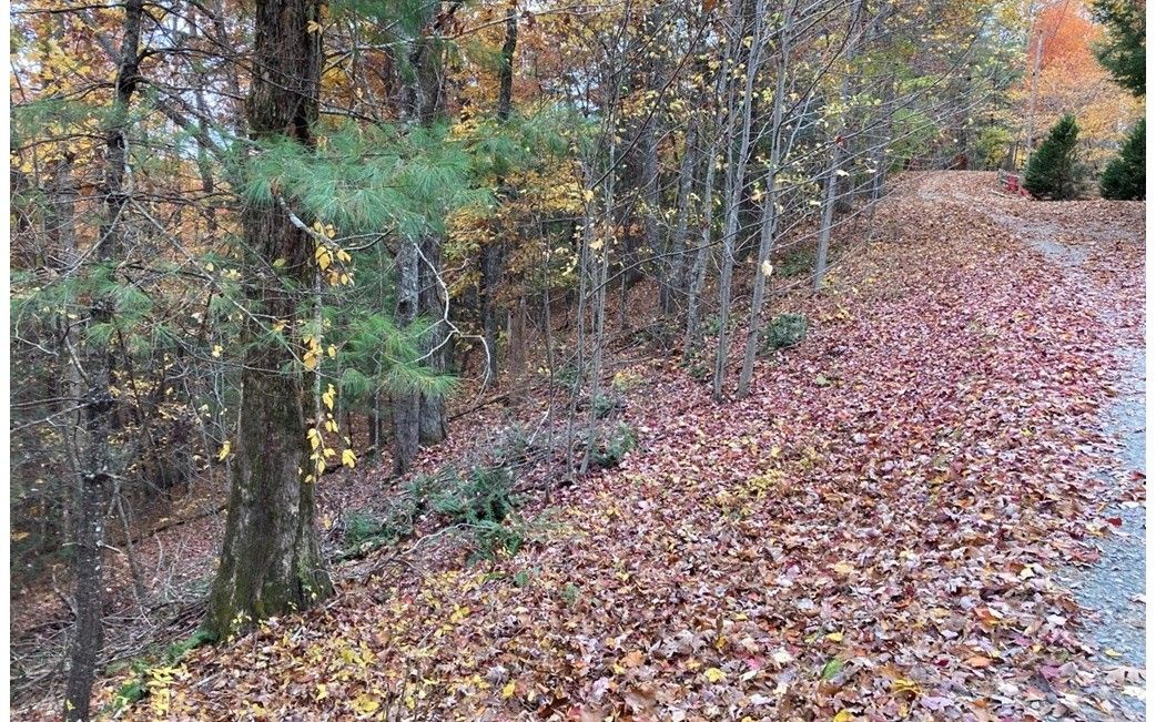 2.3 acres in Cherokee County, North Carolina