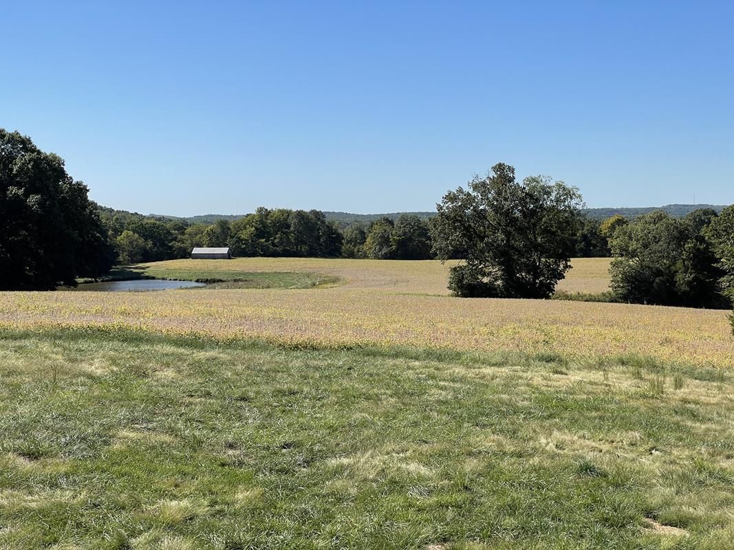 134 acres in Johnson County, Illinois