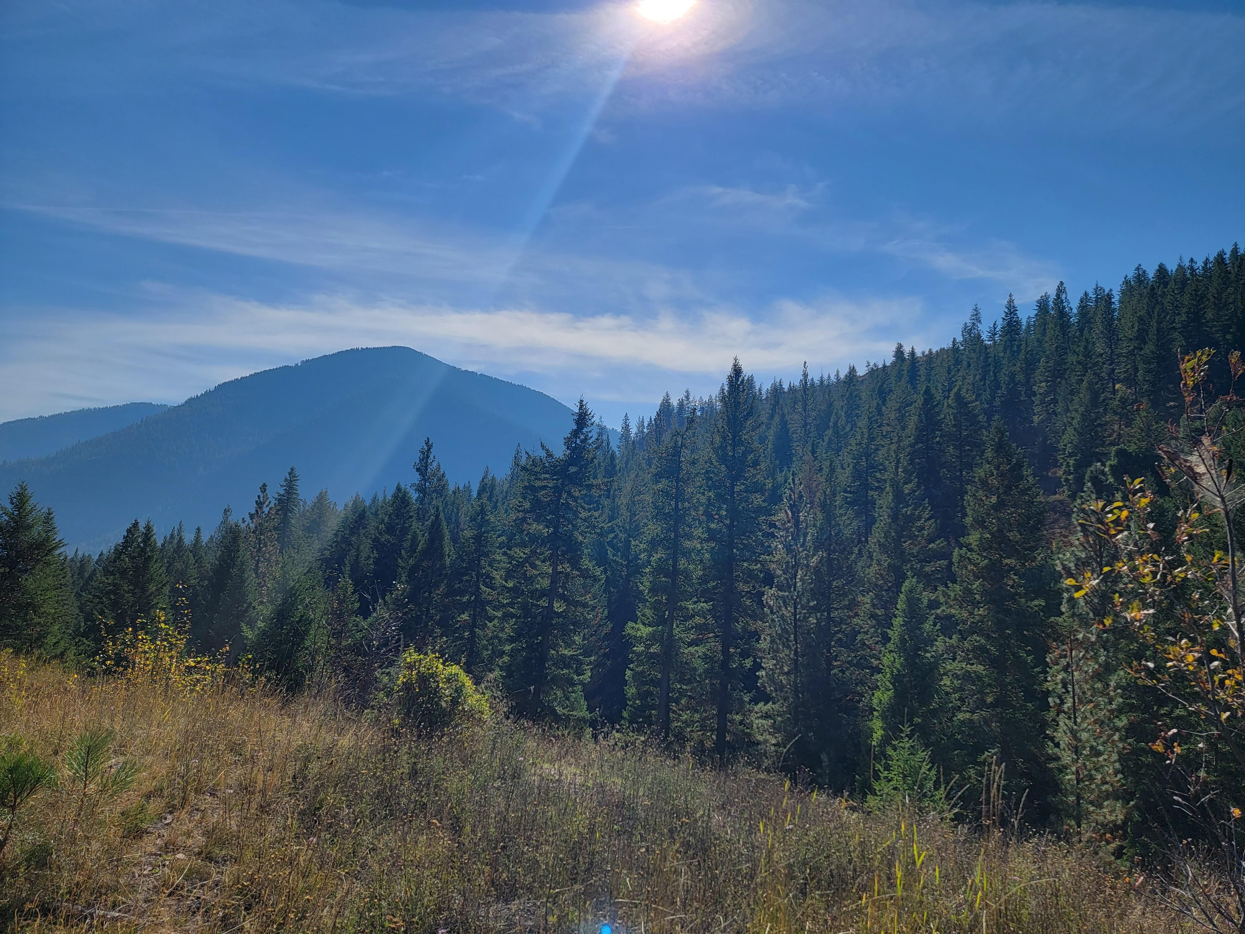 470 acres in Mineral County, Montana