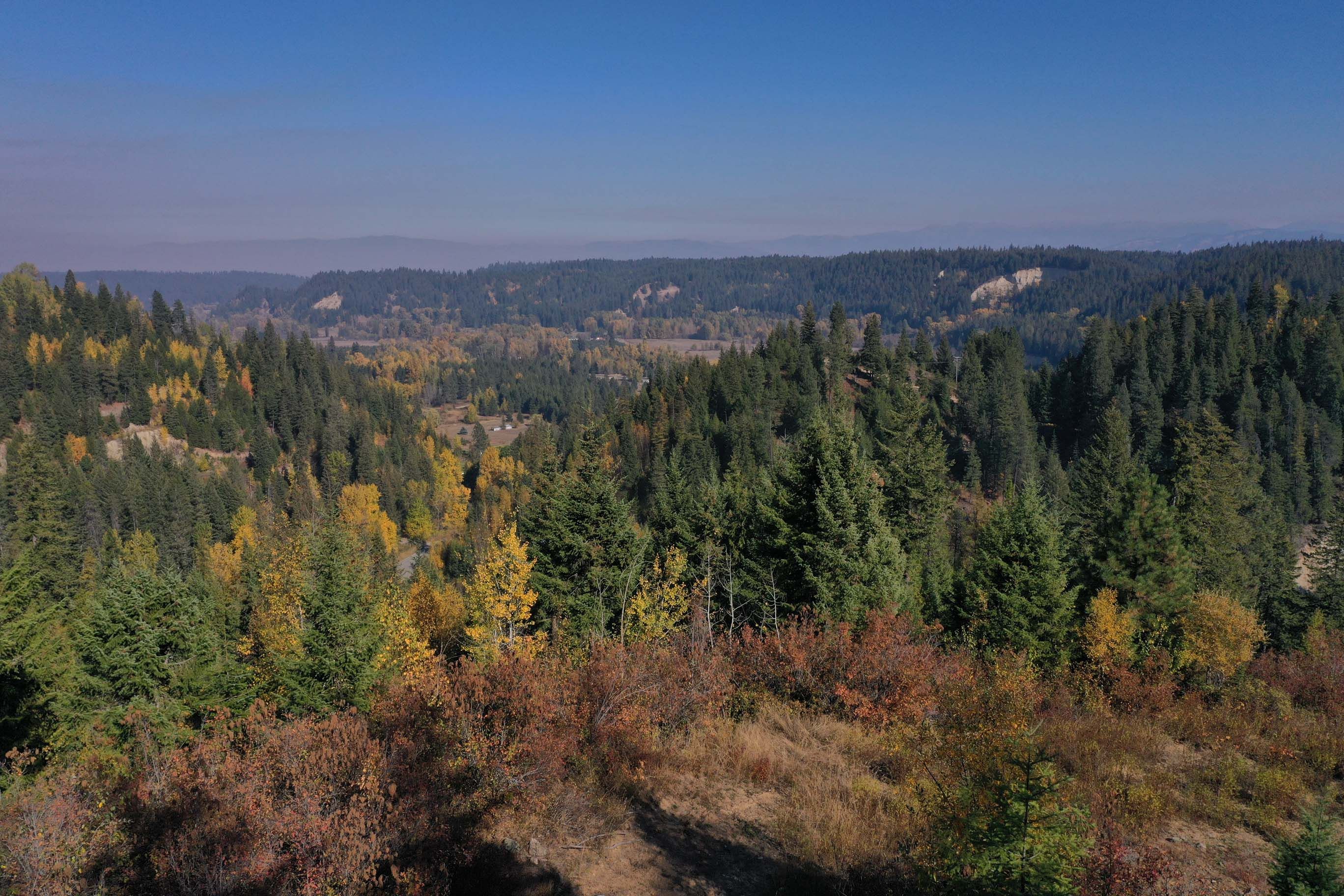 71 acres in Boundary County, Idaho