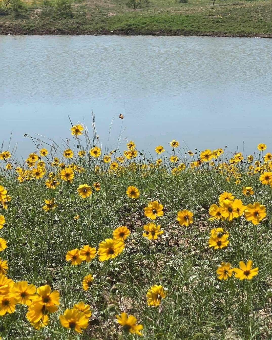 63 acres in Concho County, Texas