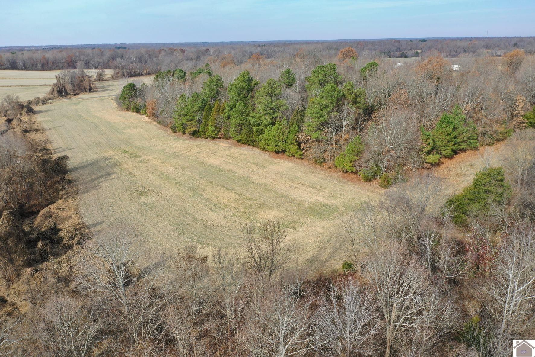 17 acres in Graves County, Kentucky