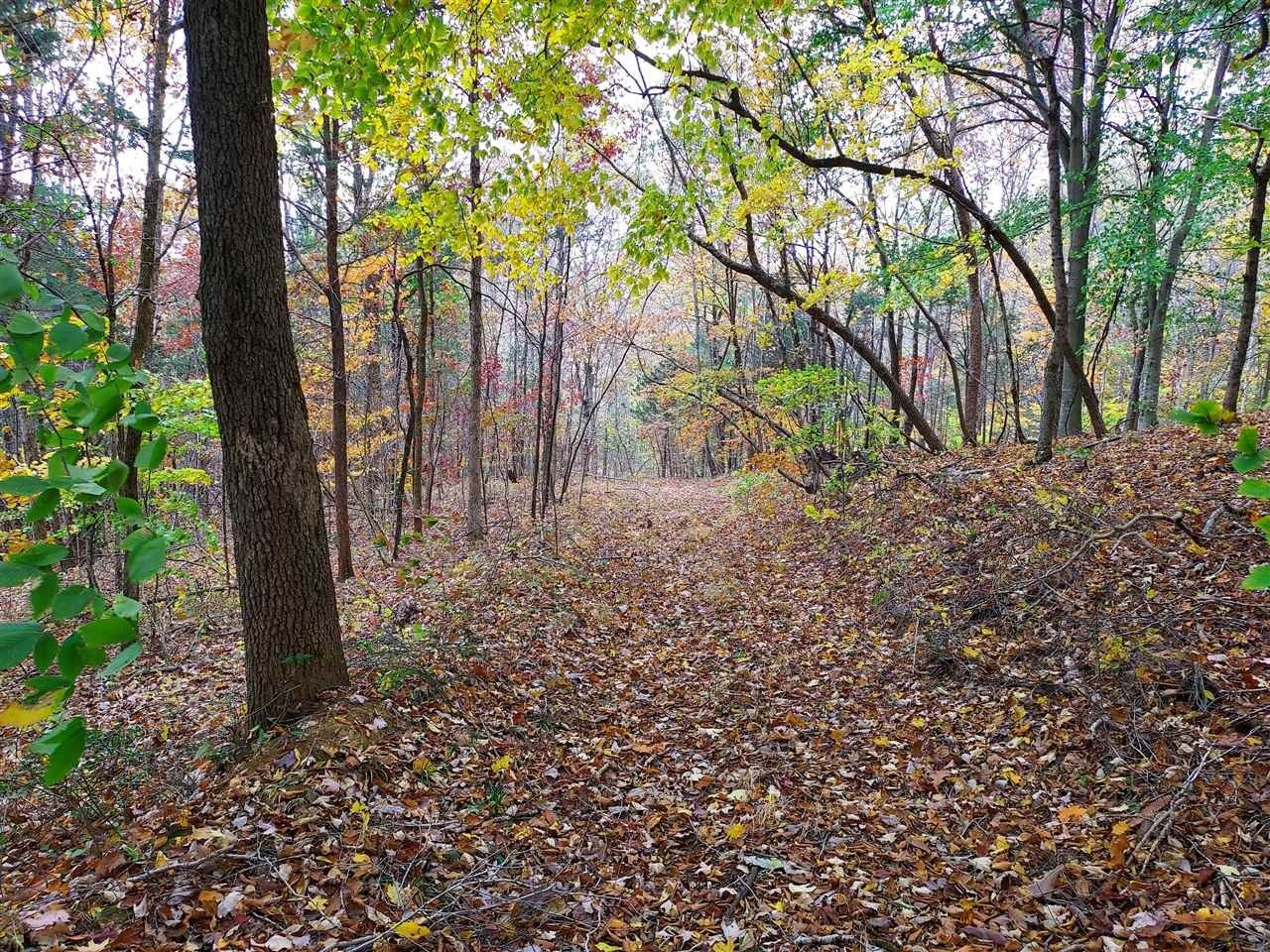 46 acres in Adair County, Kentucky