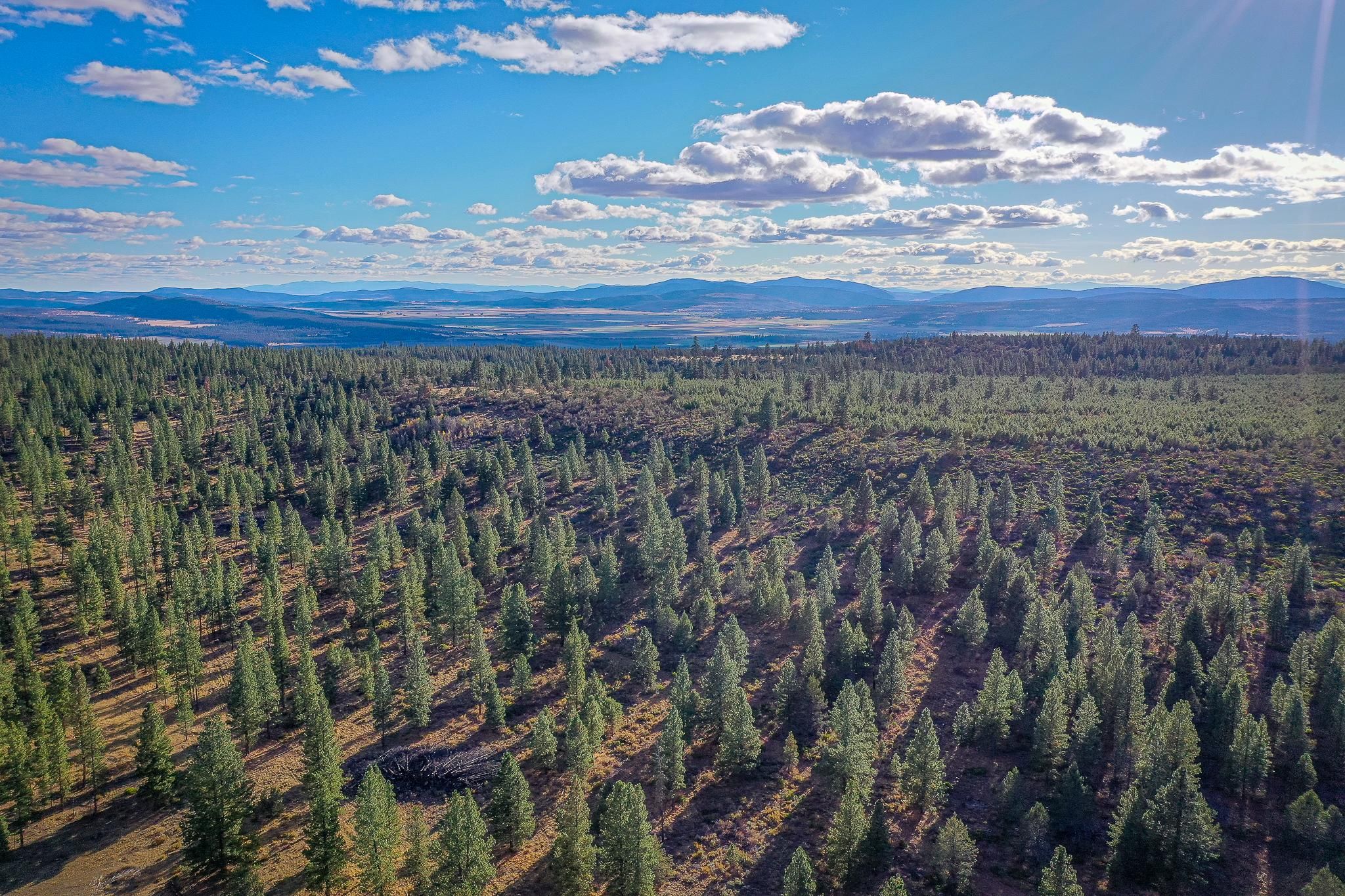 4.27 acres in Bonanza, OR, 97623