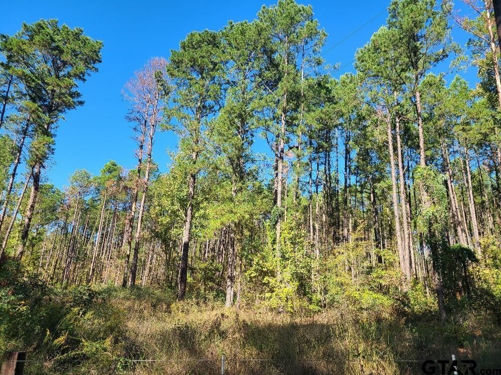 20 acres in Rusk County, Texas