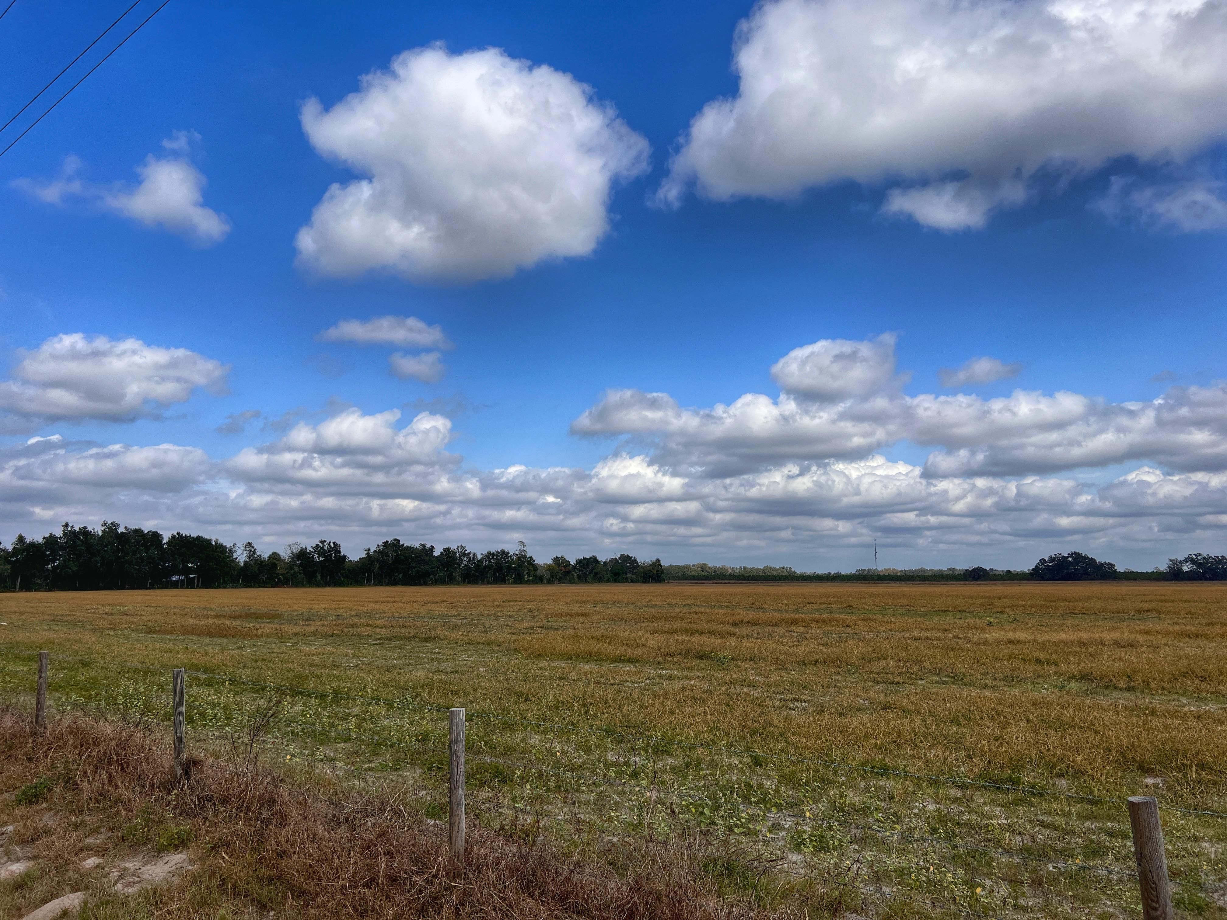 Northwest 50th Street, Chiefland, FL 32626 MLS 785472