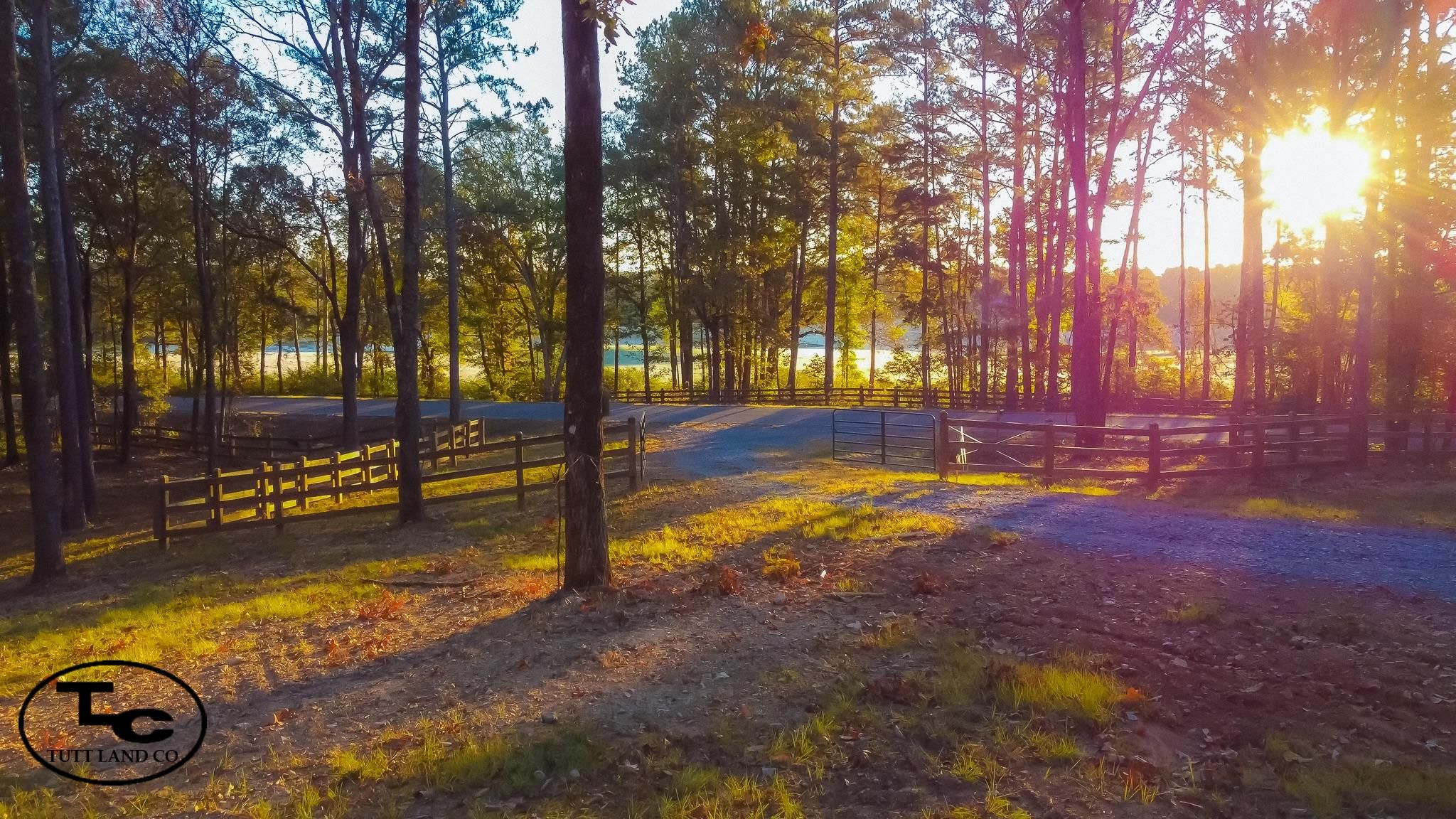 20 acres in Vincent, AL, 35178