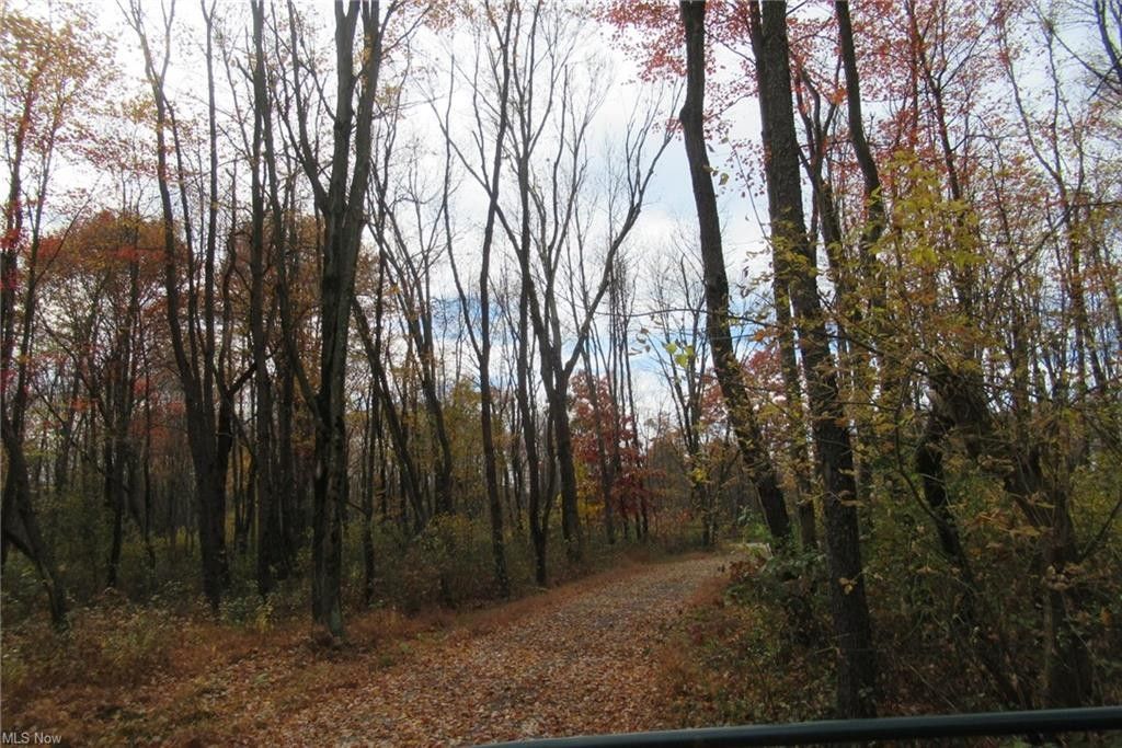 5.66 acres in Carroll County, Ohio