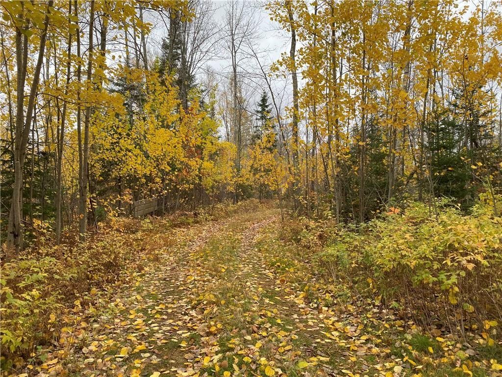 40 acres in Douglas County, Wisconsin