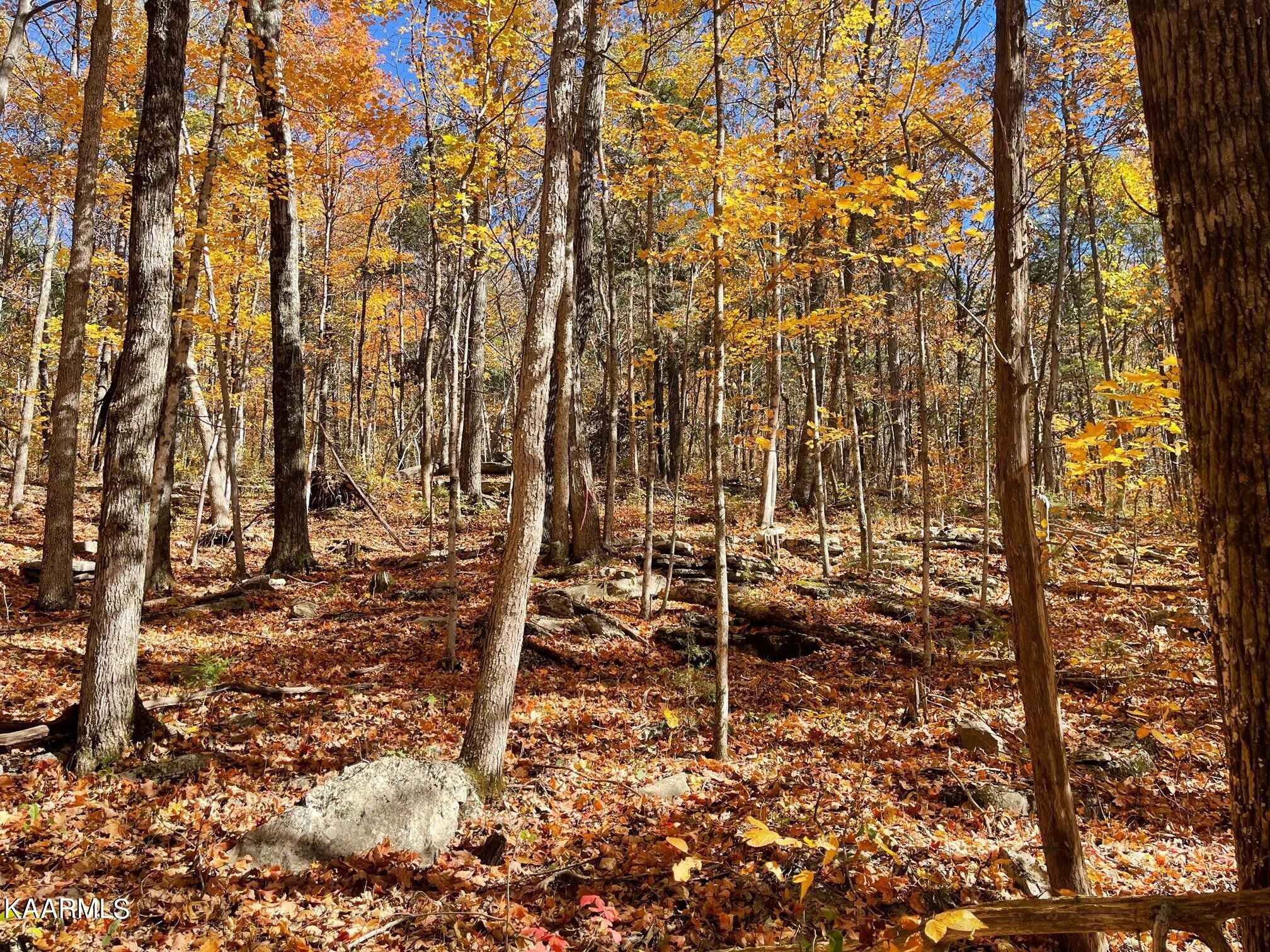 32 acres in White County, Tennessee