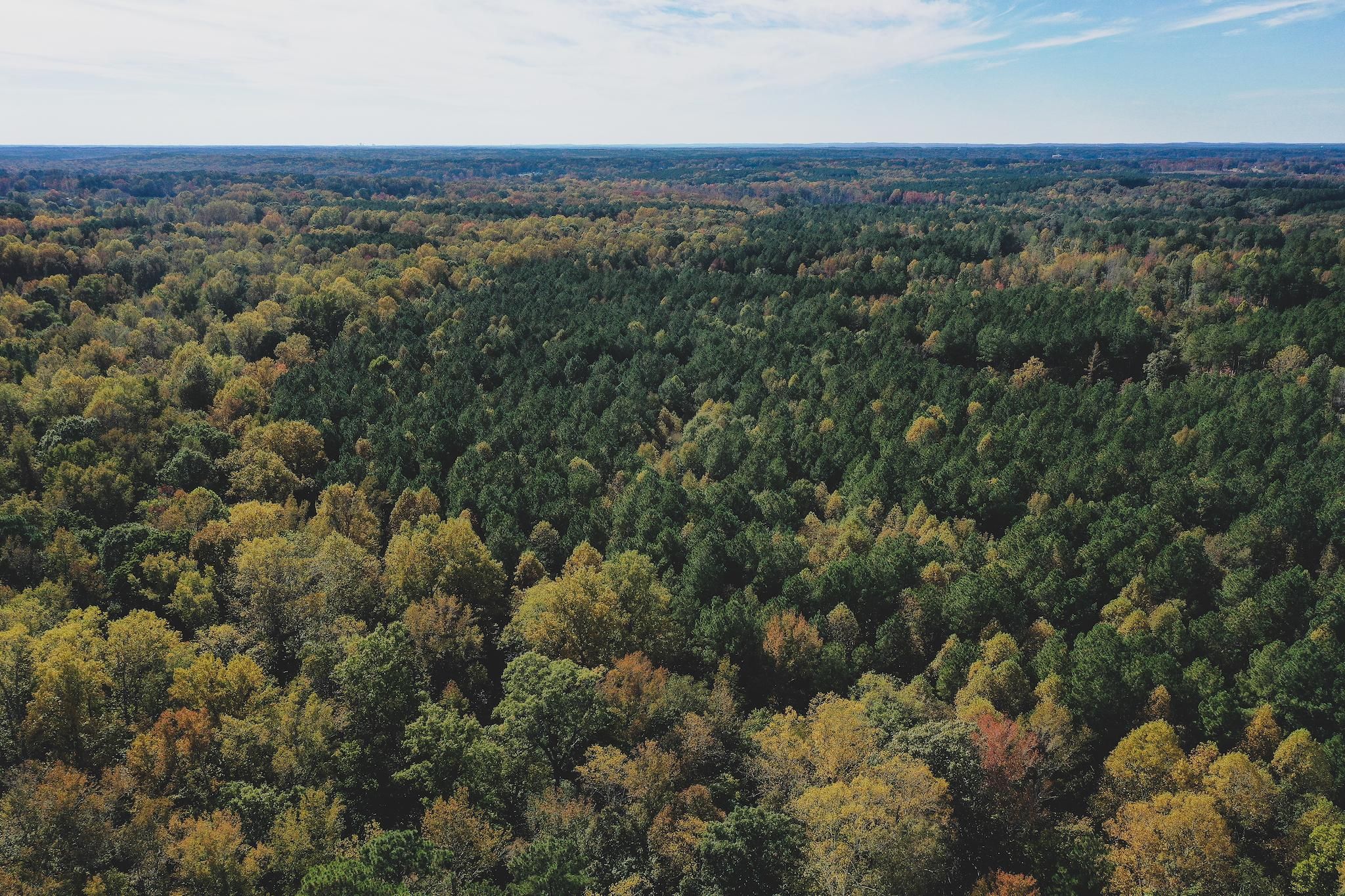 54 acres in Granville County, North Carolina