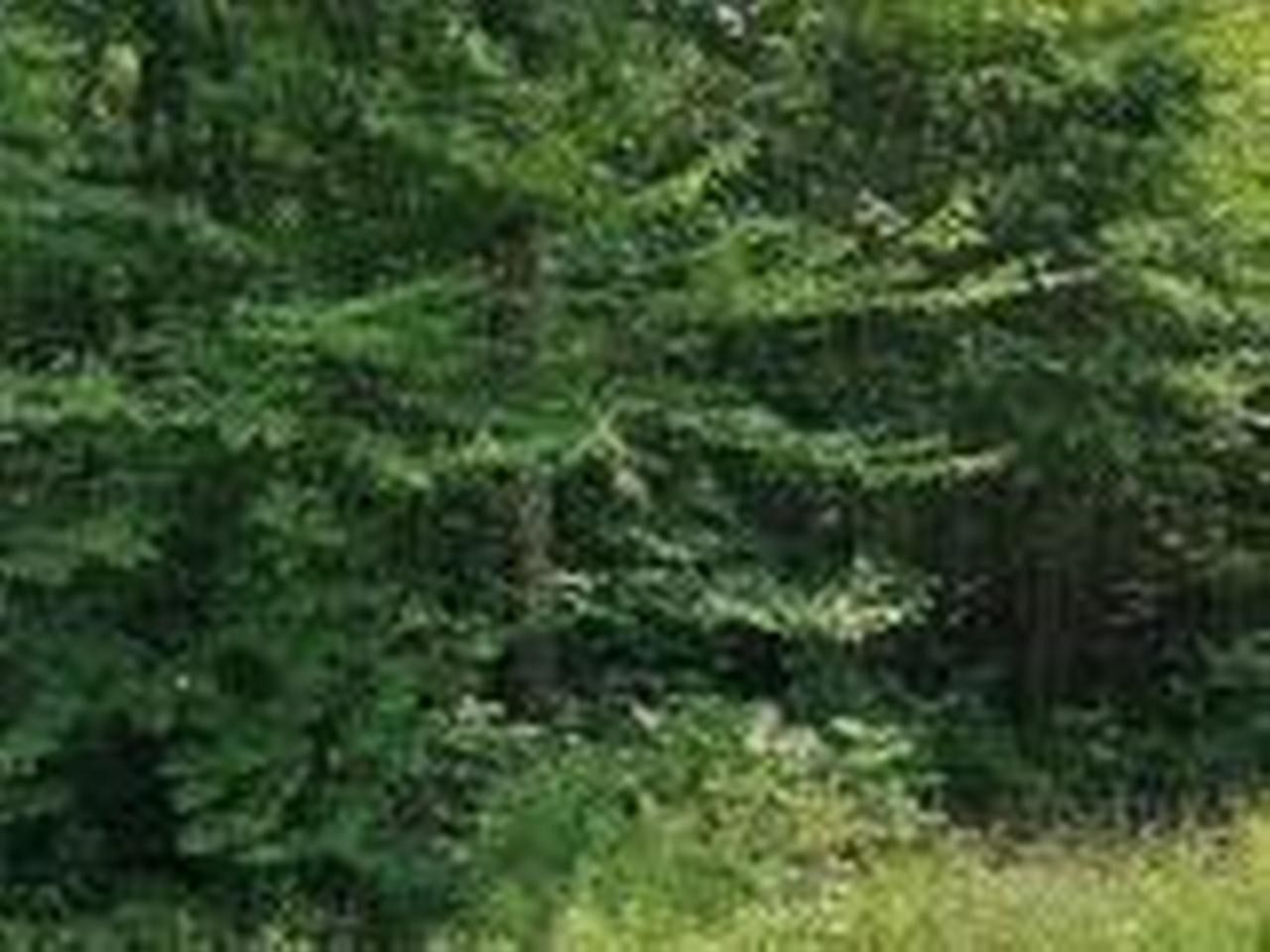898 acres in Langlade County, Wisconsin
