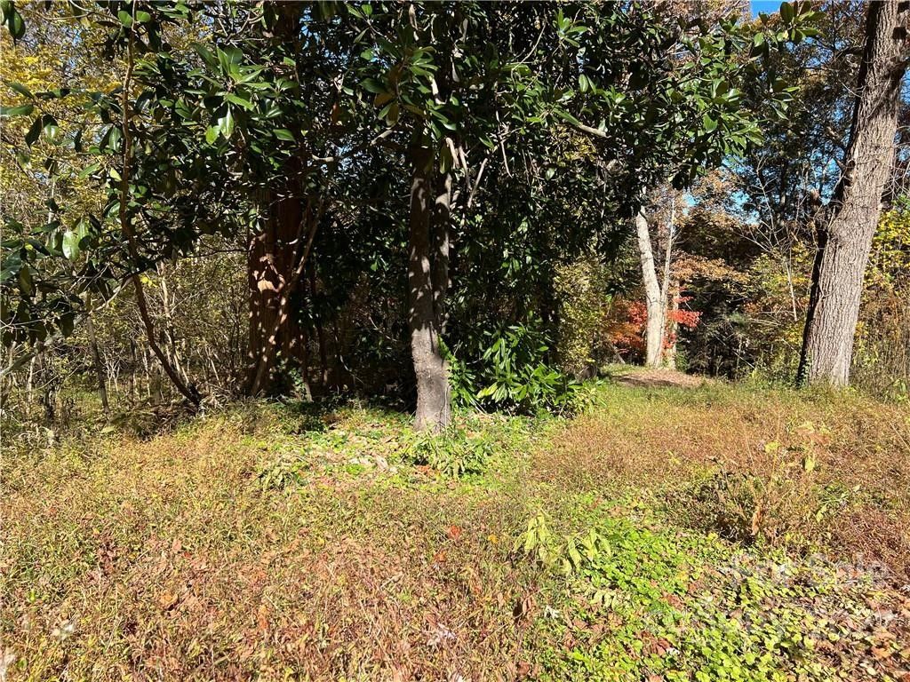 3 acres in Burke County, North Carolina