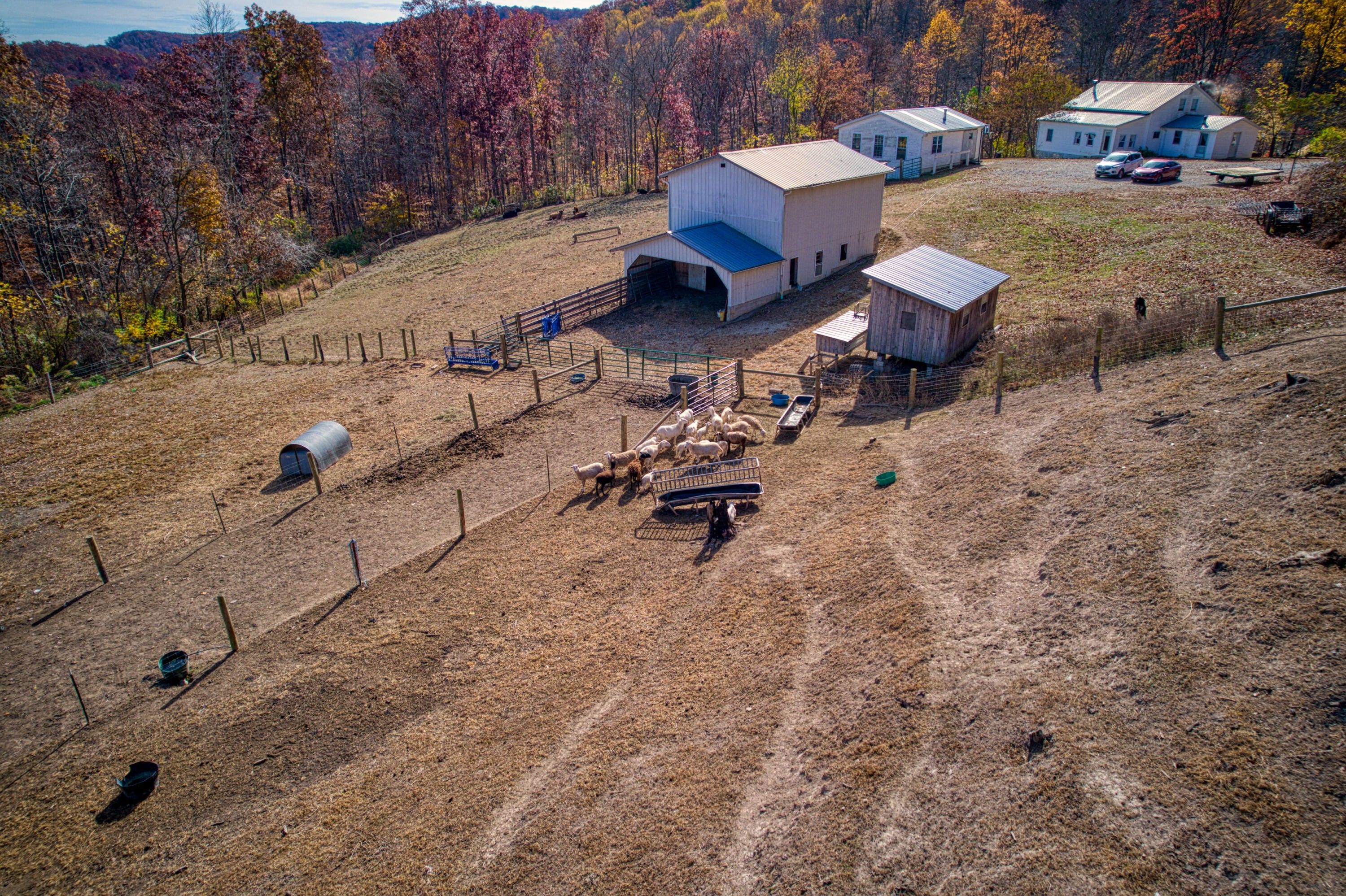 29 acres in Fleming County, Kentucky