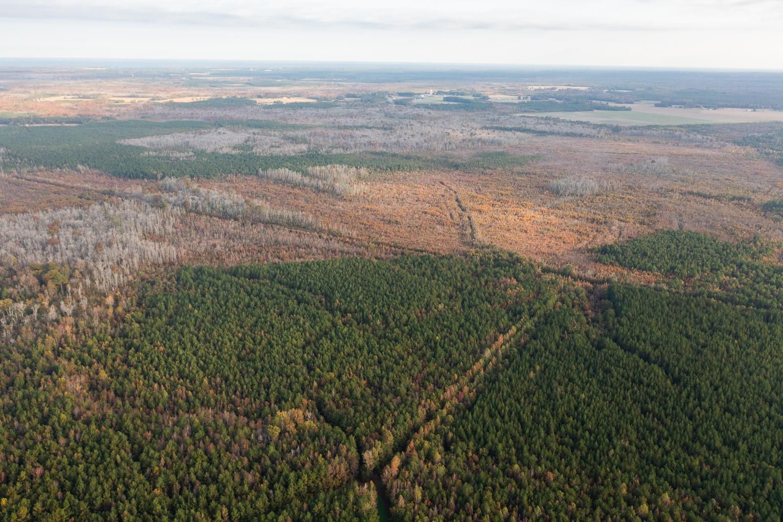 1,612 acres in Tyrrell County, North Carolina