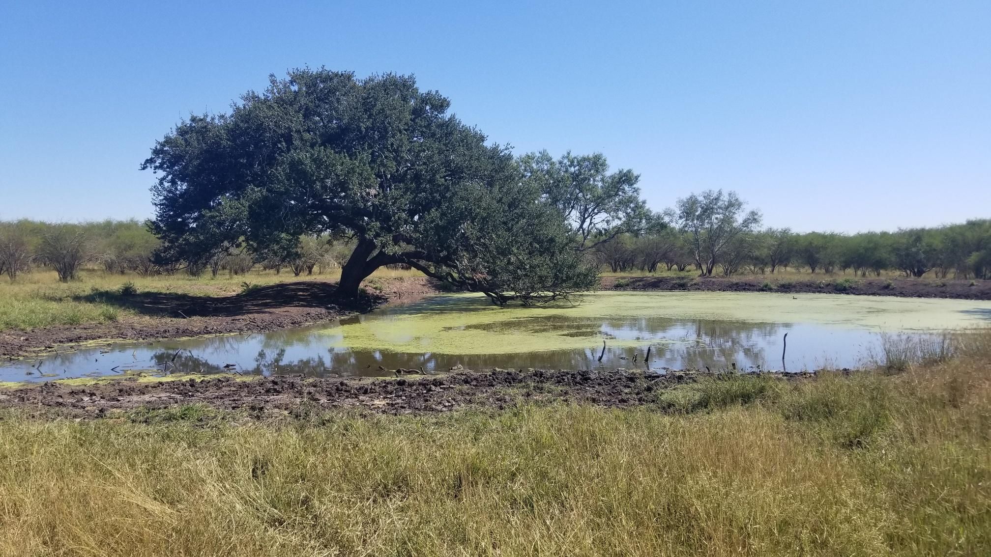 County Road 503, Beeville, TX 78389 MLS 112535