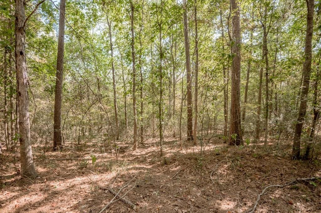 50 acres in Nacogdoches County, Texas