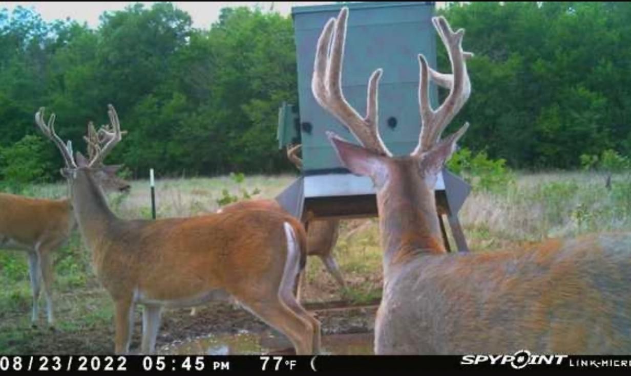 60 acres in Love County, Oklahoma