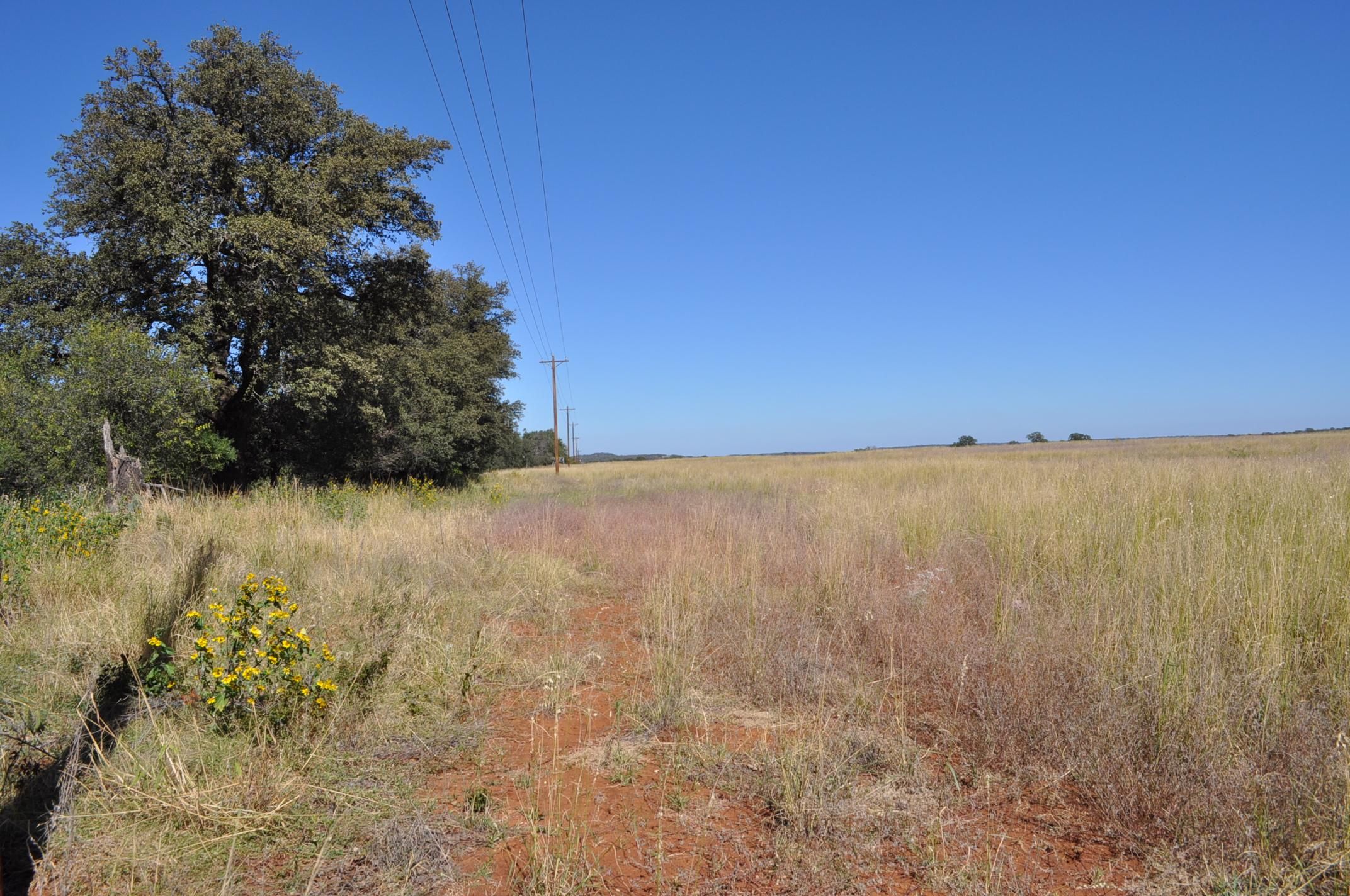 40.21 acres in Mason County, Texas