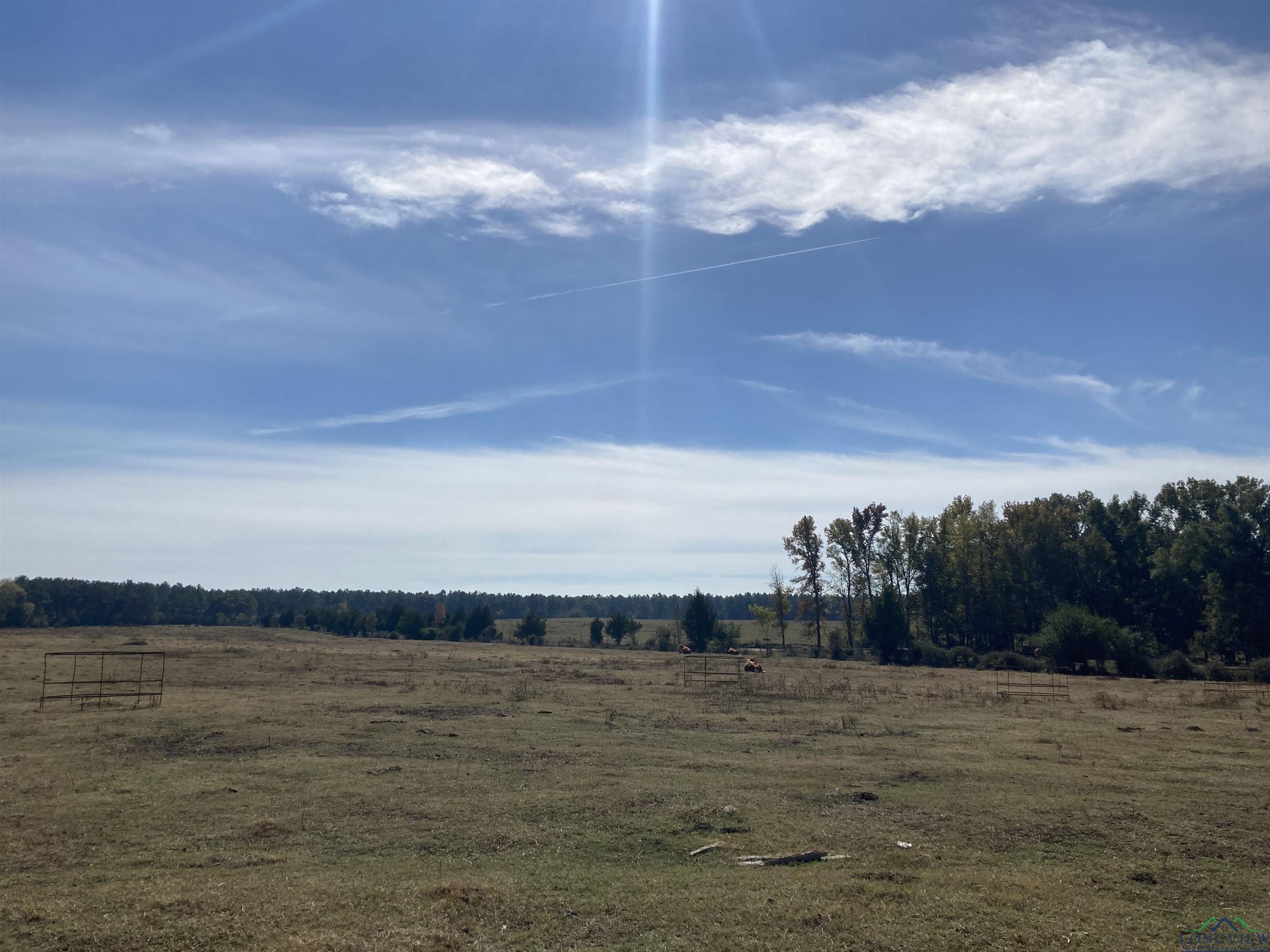 470 acres in Panola County, Texas