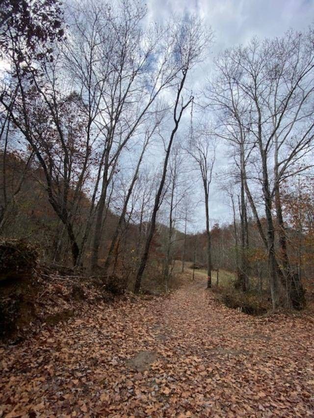 162.5 acres in Elliott County, Kentucky