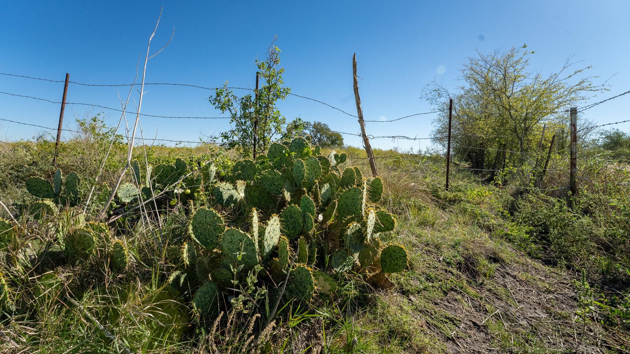 County Road 115, Rogers, TX 76569